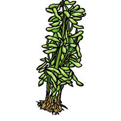 ��؂ł����̓��I�}���ނ͔̍|�^���̓�